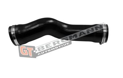 GT BERGMANN GT52-790 EAN: 5907764531229.