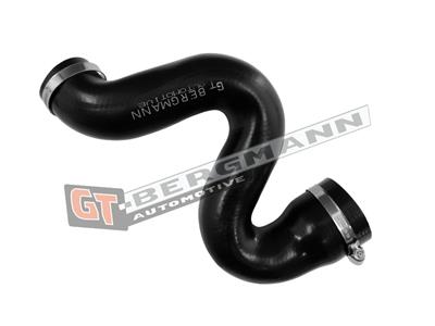 GT BERGMANN GT52-799