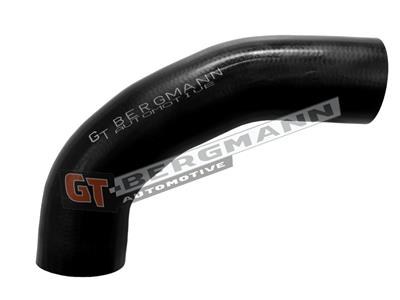 GT BERGMANN GT52-805