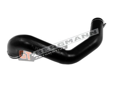 GT BERGMANN GT52-809