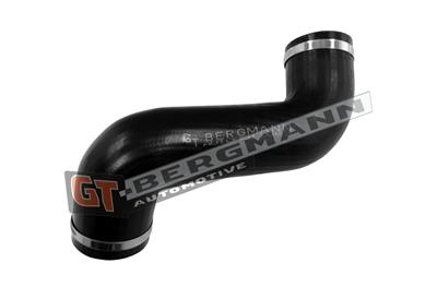 GT BERGMANN GT52-810