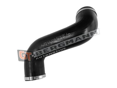 GT BERGMANN GT52-810