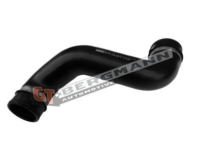 GT BERGMANN GT52-813 EAN: 5907764531458.