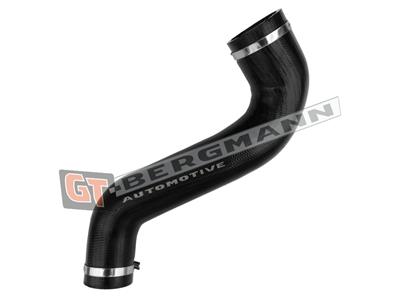 GT BERGMANN GT52-798 EAN: 5907764531304.