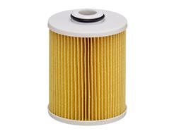 HENGST FILTER E490KP D484