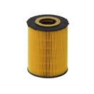 HENGST FILTER E203H04 D67