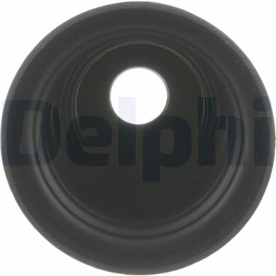 DELPHI TBR5014 EAN: 5012759616079.