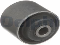 DELPHI TD5569W