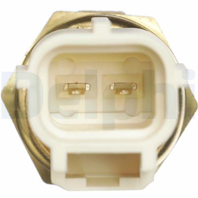 DELPHI TS10289 EAN: 5012759475478.