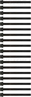 VICTOR REINZ 14-55072-01 EAN: 4026634388471.