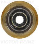 VICTOR REINZ 70-19255-00