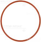 VICTOR REINZ 71-17585-00