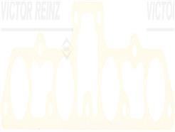 VICTOR REINZ 71-24161-00