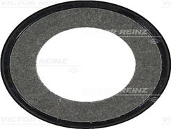 VICTOR REINZ 81-34313-00