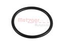 METZGER 2430007