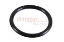 METZGER 2430023