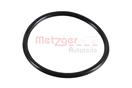 METZGER 2430038