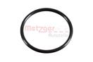 METZGER 2430048
