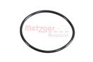 METZGER 2430058