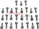 METZGER 8029028
