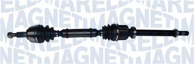 MAGNETI MARELLI 302004190251 Číslo výrobce: TDS0251. EAN: 8050947056006.