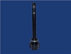 MAGNETI MARELLI 302009100011