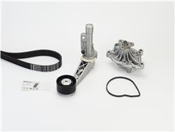 CONTITECH 6PK905 EXTRA WP1