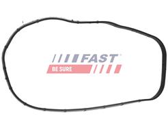 FAST FT49311