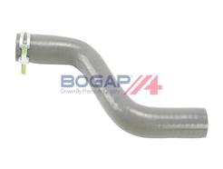 BOGAP F1711106