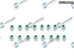 Dr.Motor Automotive DRM02536S
