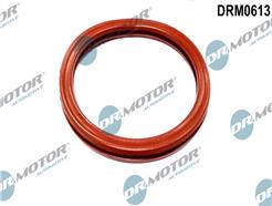 Dr.Motor Automotive DRM0613