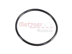 METZGER 2430058