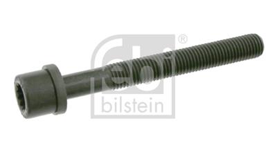 FEBI BILSTEIN 06666 EAN: 4027816066668.