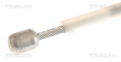 TRISCAN 8140 291188