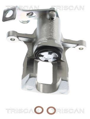 TRISCAN 8175 43224 EAN: 5710476391810.