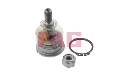 FAG 825 0038 10 EAN: 4014870419905.