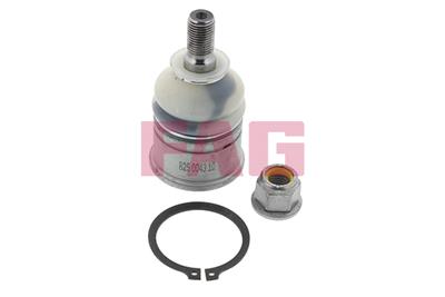 FAG 825 0043 10 EAN: 4014870410223.