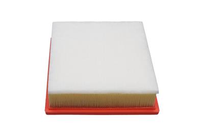 KAVO PARTS FAF-9002 EAN: 8715616358705.