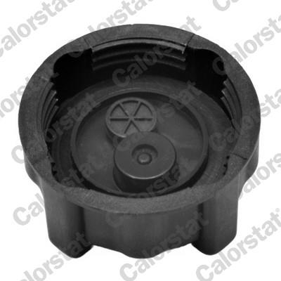 CALORSTAT by Vernet RC0024 EAN: 3531650022663.