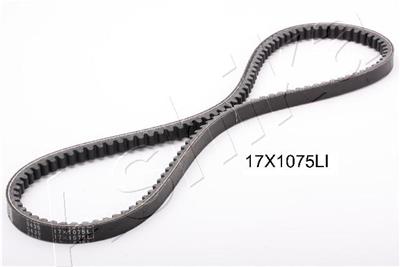 ASHIKA 109-17X1075 EAN: 8033001749090.