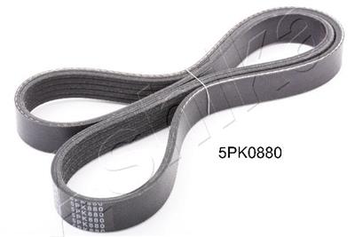 ASHIKA 112-5PK880 EAN: 8033001463033.