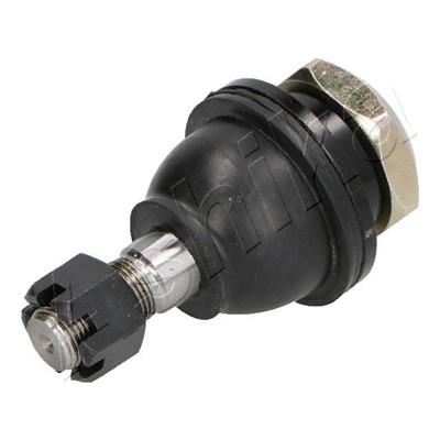 ASHIKA 73-01-115 EAN: 8033001483369.