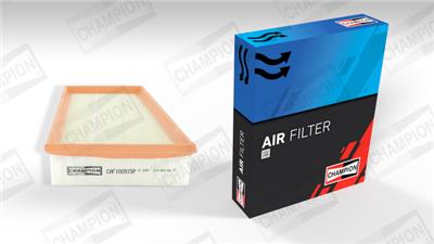 CHAMPION CAF100915P Číslo výrobce: CAF100915P. EAN: 4044197798759.