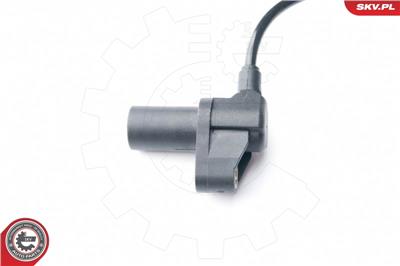 ESEN SKV 06SKV241 EAN: 5901947322567.