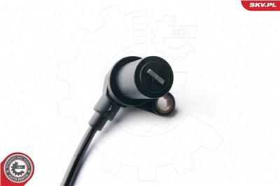 ESEN SKV 06SKV250 EAN: 5901947322659.