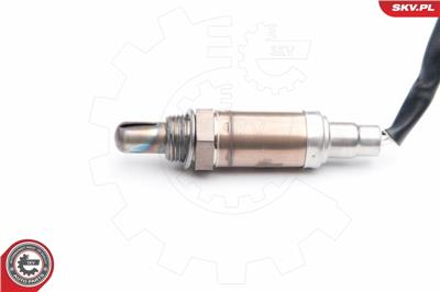 ESEN SKV 09SKV536