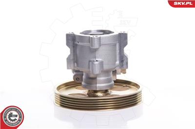 ESEN SKV 10SKV119 EAN: 5901947307991.