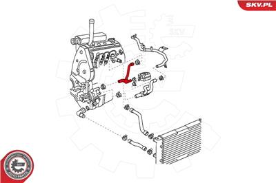 ESEN SKV 24SKV341 EAN: 5901947371589.
