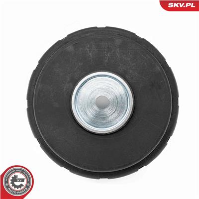 ESEN SKV 31SKV421 EAN: 5906302208074.