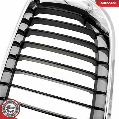 ESEN SKV 66SKV079 EAN: 5903968482381.